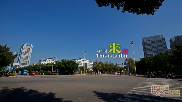 来宾_一肖一码一一肖一子准确方法,非议复查精选解析、解释与落实